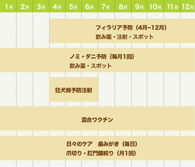 予防年間スケジュール